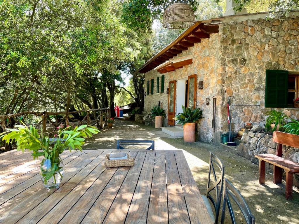 Fabulous Rustic Set On Mountain With Unique Views