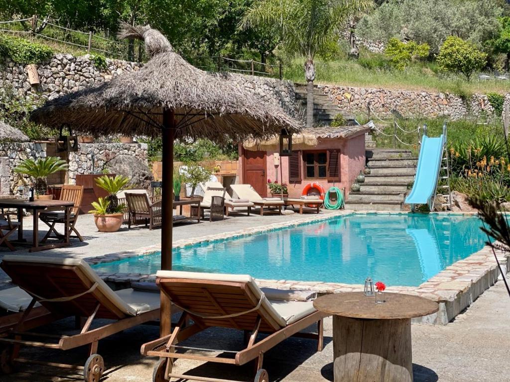 Fabulous Rustic Set On Mountain With Unique Views *