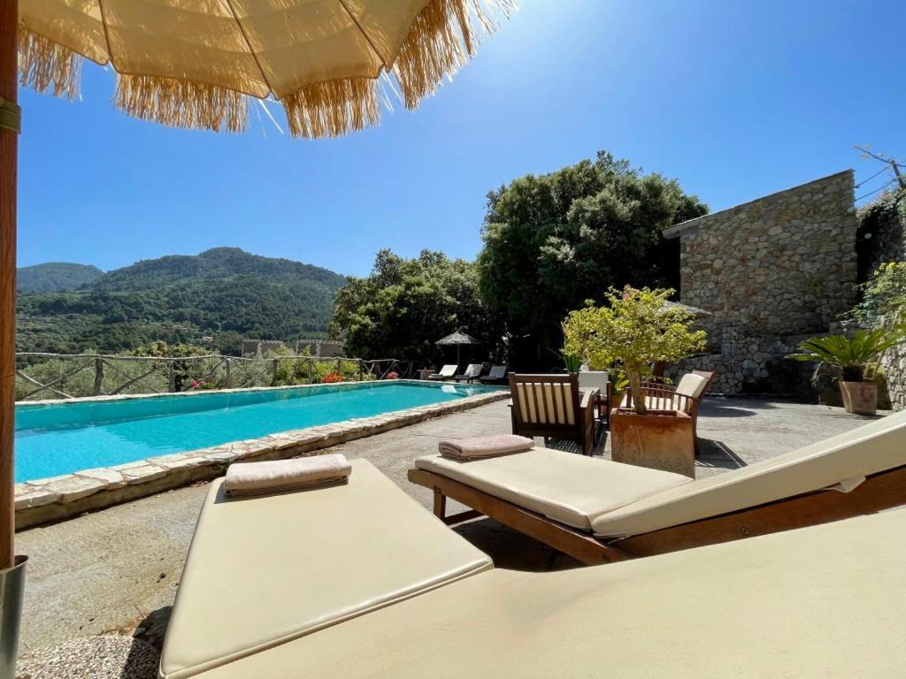 Fabulous Rustic Set On Mountain With Unique Views Villa *