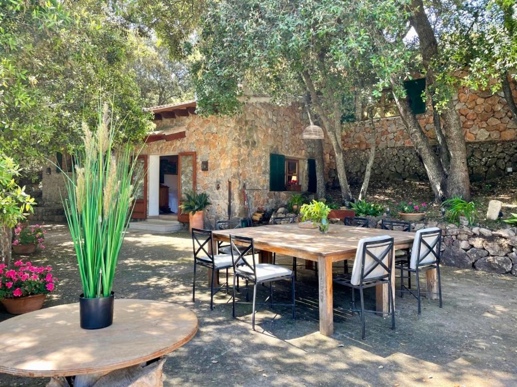 Fabulous Rustic Set On Mountain With Unique Views