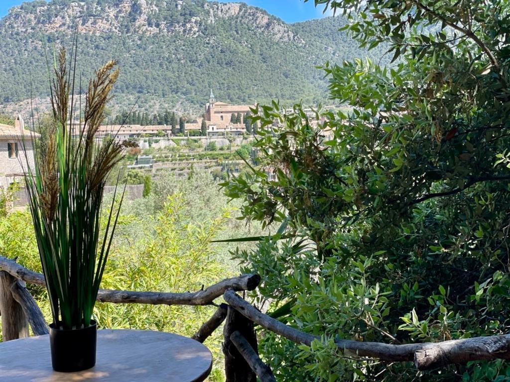 Fabulous Rustic Set On Mountain With Unique Views *